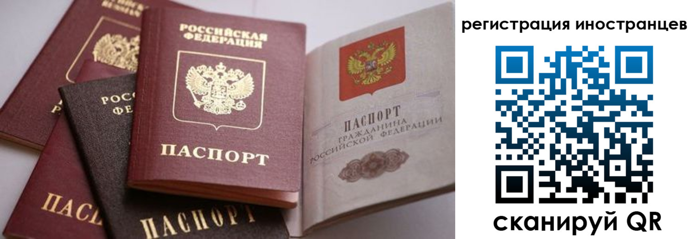 прописка штамп в Почепе