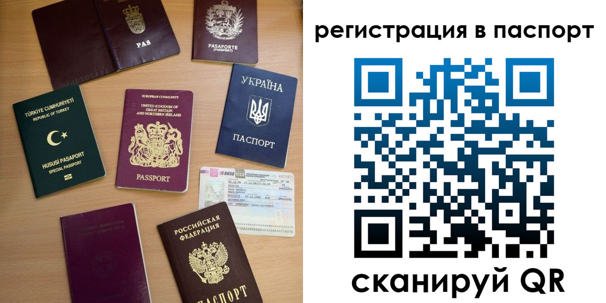 прописка поиск в Почепе